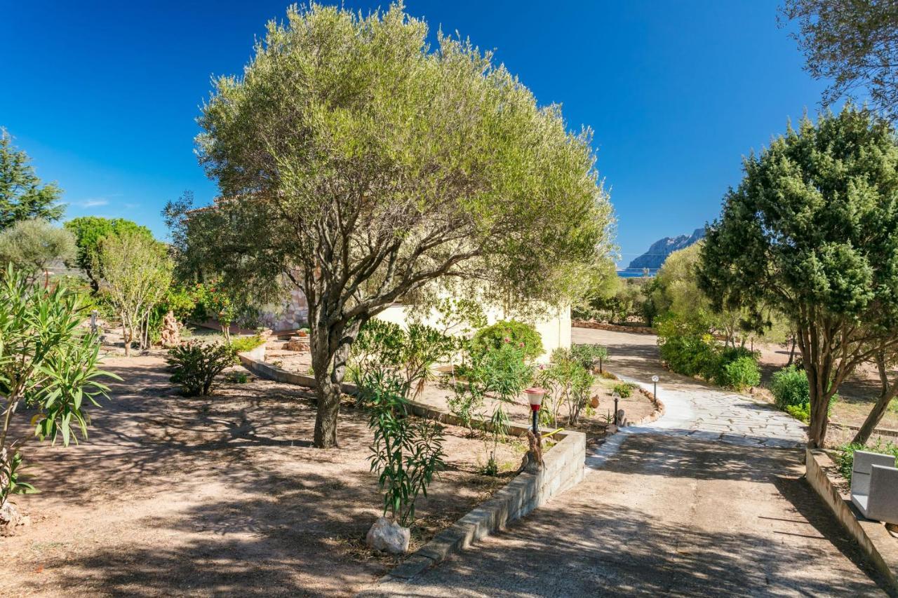 Apartmán Casa Relax Porto San Paolo  Exteriér fotografie